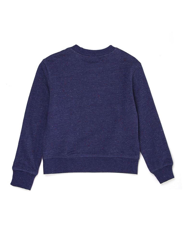 U.S. Polo Assn. Casual Wear Printed Baby Boys Sweat Shirt